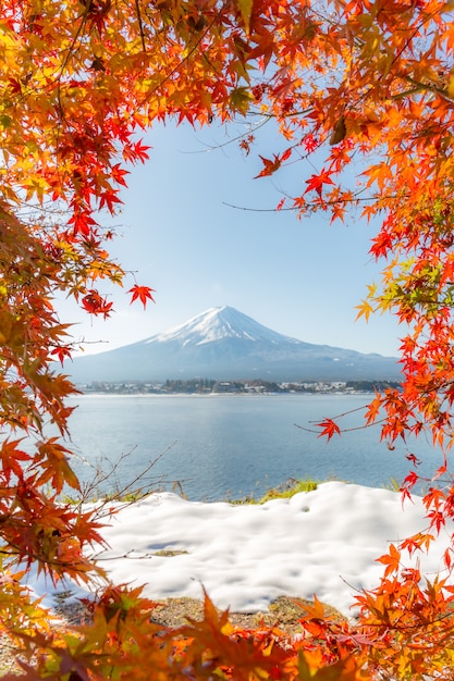 Photo 富士山秋の富士