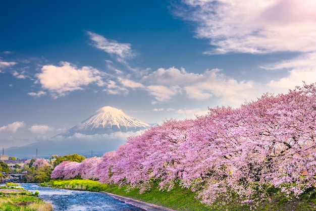 Photo mt fuji japan spring landscape