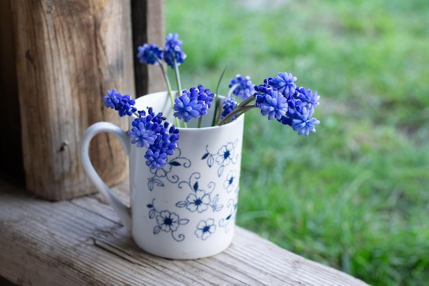 Muscari in vase outdoors