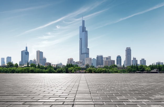 Photo nanjing xuanwu lake city view