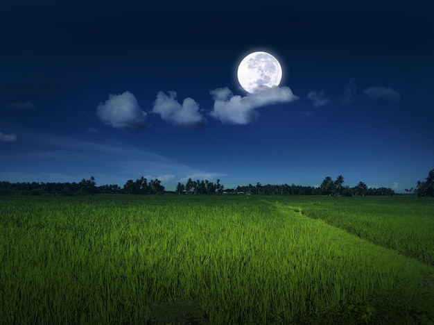 Night landscape with full moon and field