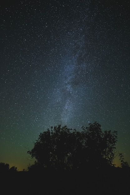 Night starry sky for background.