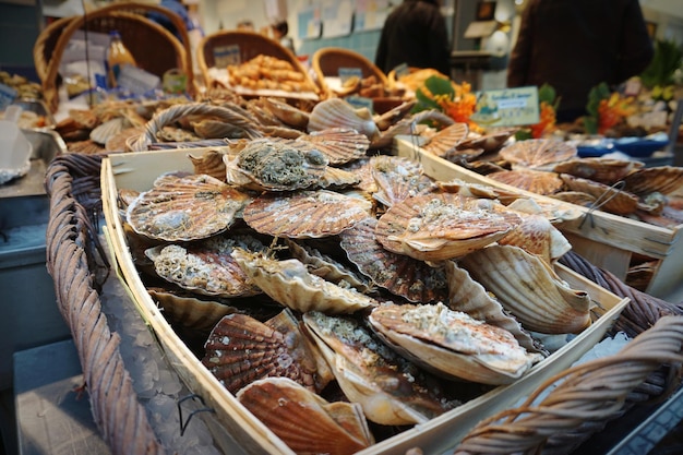 Foto ostriche in un mercato francese