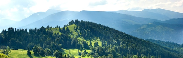 Photo panorama of fresh green hills in carpathian mountains in spring sunny day