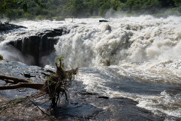 Photo panoramic scenic view of the murchison falls uganda