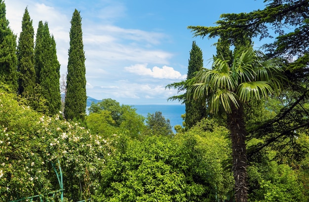 In the park of the Livadia Palace. Crimea. Yalta.