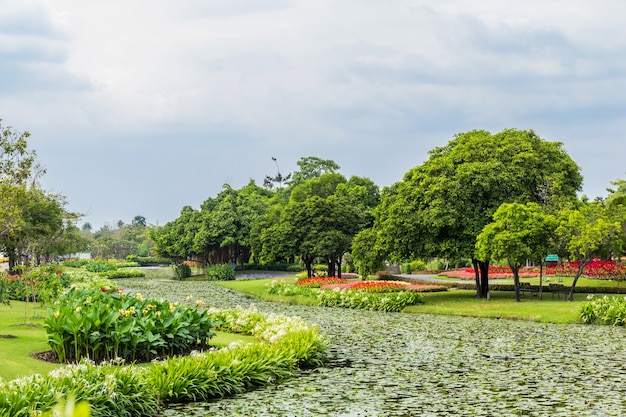 Photo park with trees and lawns