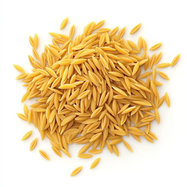 Foto pasta orzo