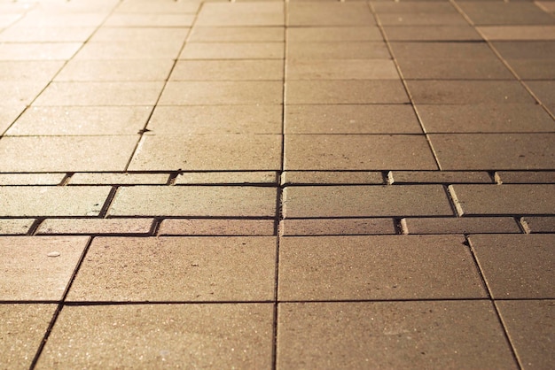 paving stones in the city with sunset light