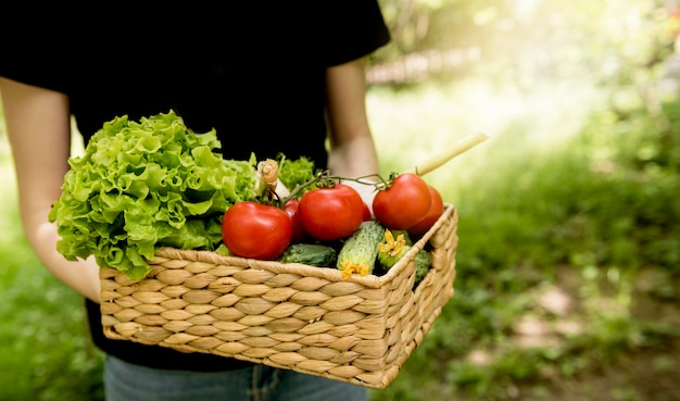 Person holding bucket with veggies high view