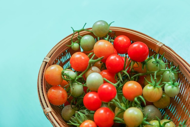 A photograph of a small tomato in a basket placed on the table