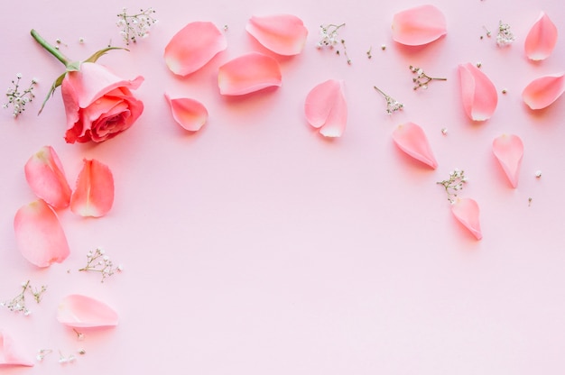 Pink rose and petals over light pink background with space in the middle