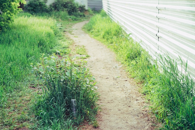 Plastic bottle in grass. Garbage among plants.