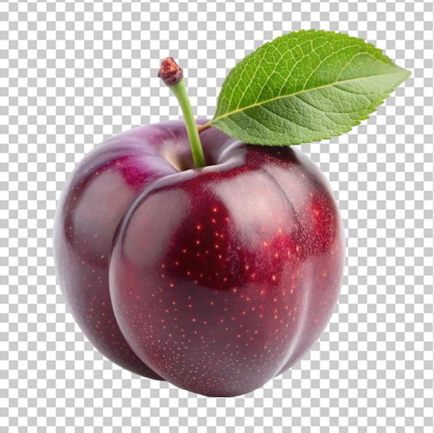 Plum on transparent background