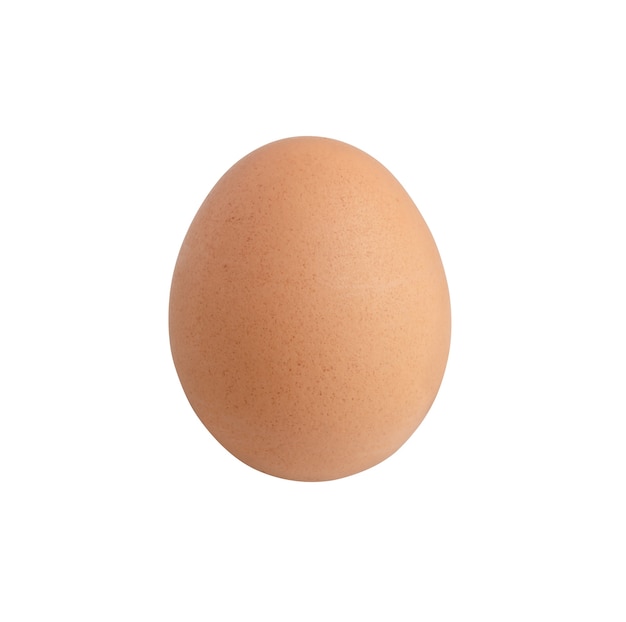 Raw chicken egg isolated on the white surface