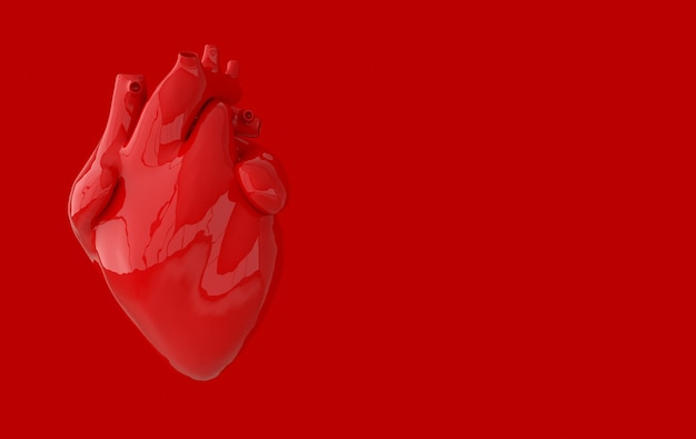 Realistisch menselijk hartorgel met slagaders en aorta 3D-rendering