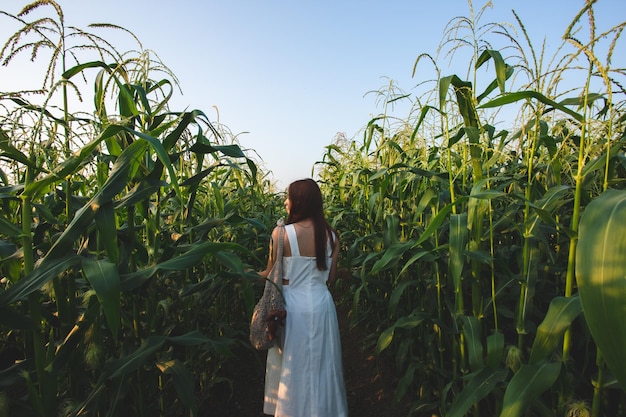 Photo rear view of woman standing on field against sky