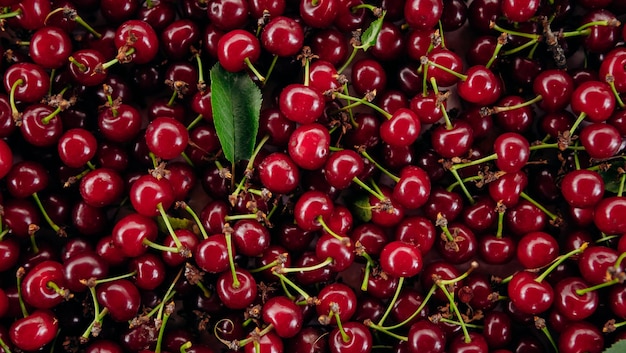 Red cherry Bunch of ripe cherries with stems