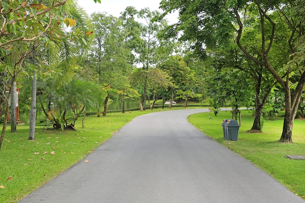 Photo road in the park with tree around. peaceful green park and way for exercise and relax.