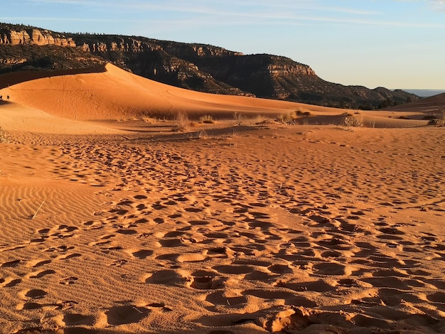 Photo sand dunes in desert against sky