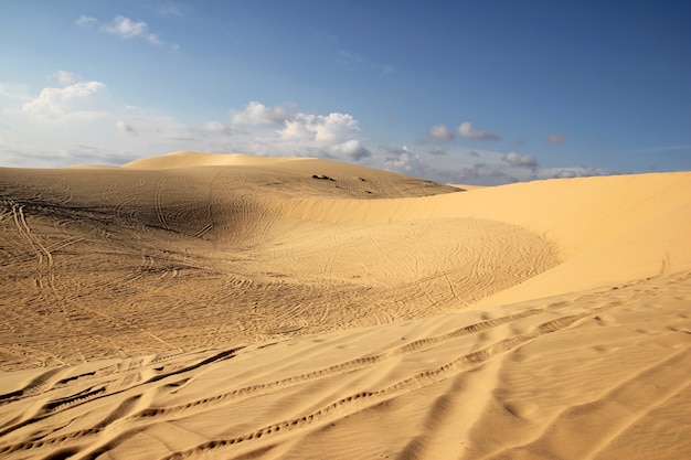 Sand gold dunes at sunset