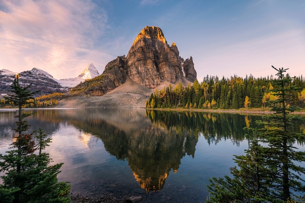 Scenery of Sunburst lake and mount Assiniboine reflections between pine tree at sunrise