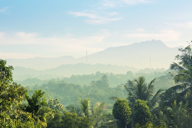 Photo scenic green mountains anb jungles, ceylon. landscape of sri lanka