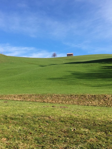 Photo scenic view of field against sky