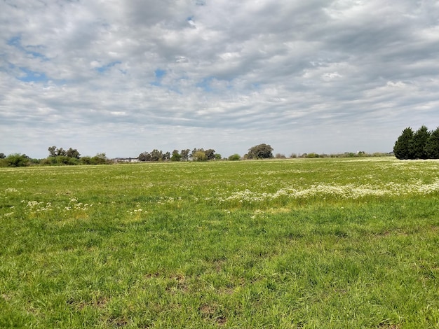 Photo scenic view of field against sky