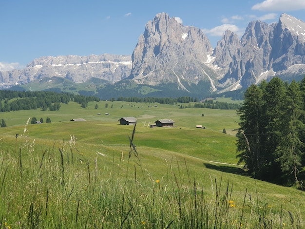 Foto vista panoramica di campi e montagne contro il cielo