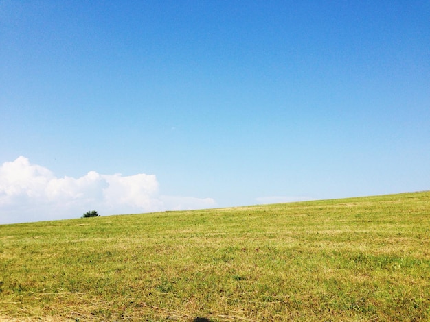 Photo scenic view of grassy field against cloudy sky