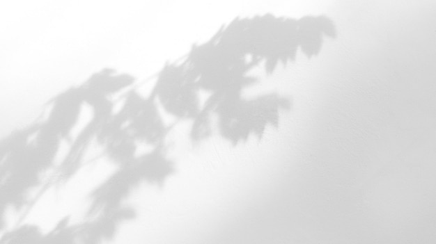 Seamless texture of white cement wall a rough surface and leaf shadow with space for text for a backgroundx9