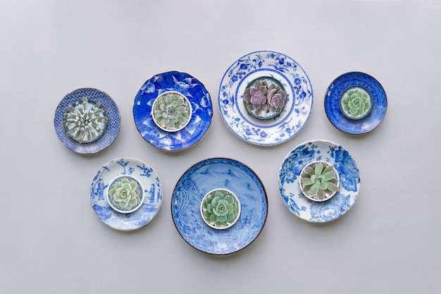 Set of ceramic dishes  with succulent plants on table background. Top view