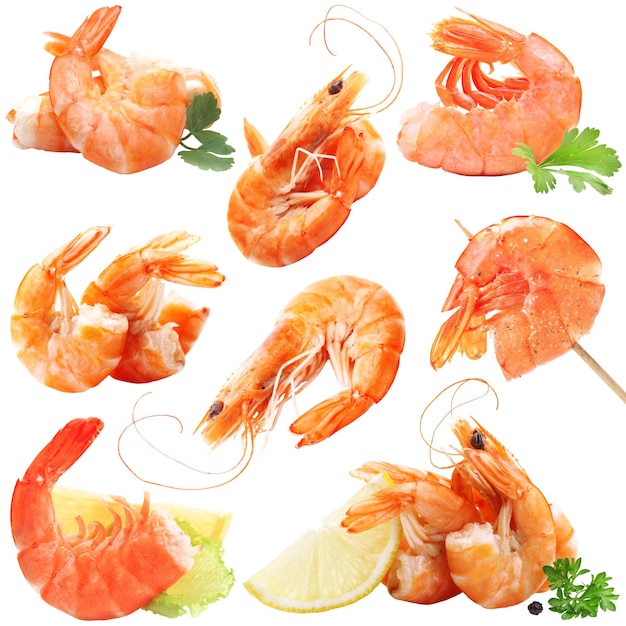 Photo shrimps on white background isolated