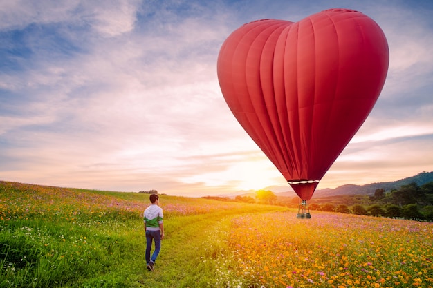 Silhouetted of Asian man standing on cosmos flowers with Red hot air balloon in the shape of a heart over the  sunset.