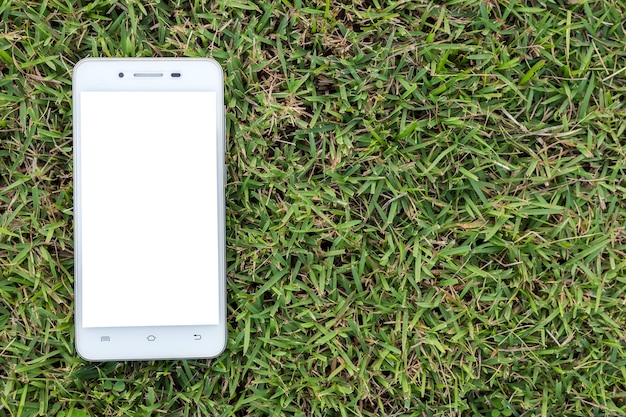 Smartphone with isolated screen on green lawn background.