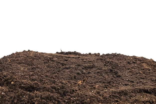 Soil for plant isolated on white background. Soil pattern.