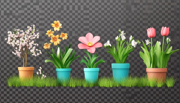 Photo spring elements 3d icon clipart on white background