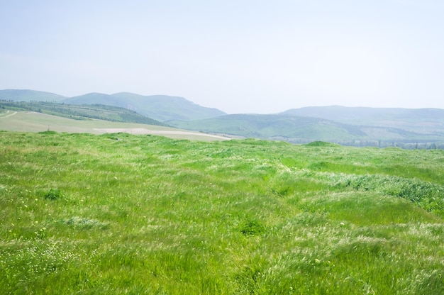 Photo spring mountains