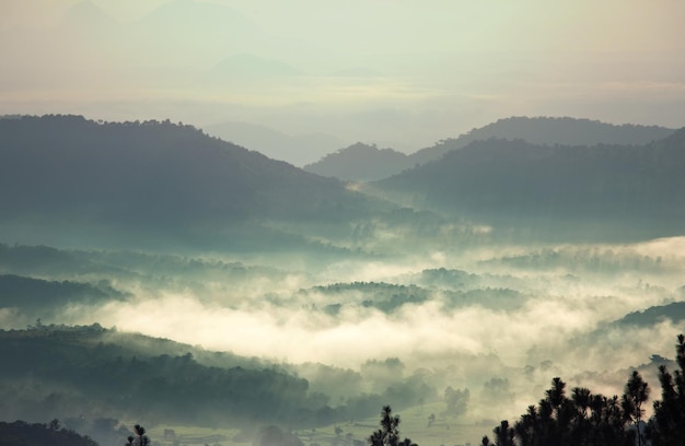 Sri Lanka landscapes