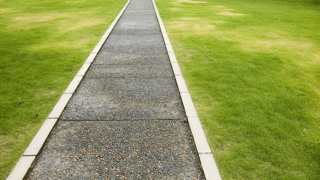 Straight road on fresh highly-detailed green grass lawn