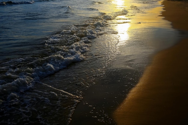 Strand in de tropen