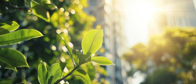 Photo sunlight filters through leaves in an urban park illustrating the peaceful coexistence of natural elements within a bustling cityscape