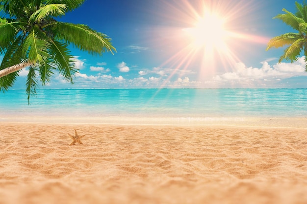 Sunny exotic beach by the ocean with palm trees at sunset Summer vacation by the sea