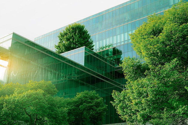 Photo sustainble green building ecofriendly building sustainable glass office building with tree