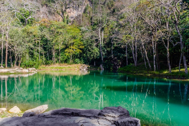 Swamp in Tham Luang - Khun Nam Nang Non Forest Park, Chiang Rai, Nort of Thailand