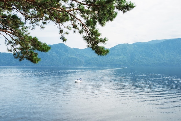 Photo アルタイ山脈のテレツコイェ湖シベリアロシアの美しさ夏の朝、湖はユネスコの世界です...