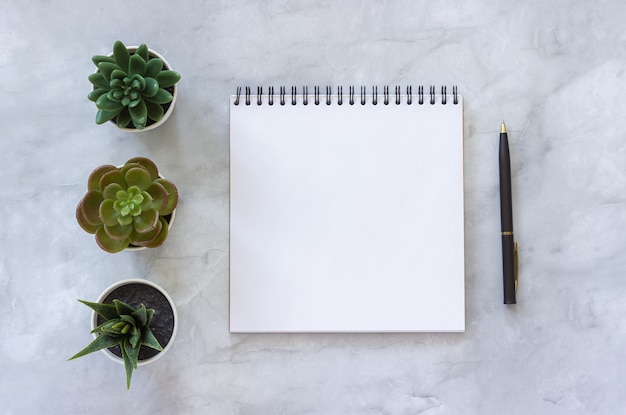 Three succulents and white open blank notebook, pen on marble table background.