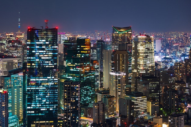 Tokyo city at twilight, Japan