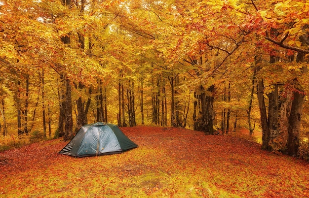 Tourist camp in the autumn forest with red and yellow foliage